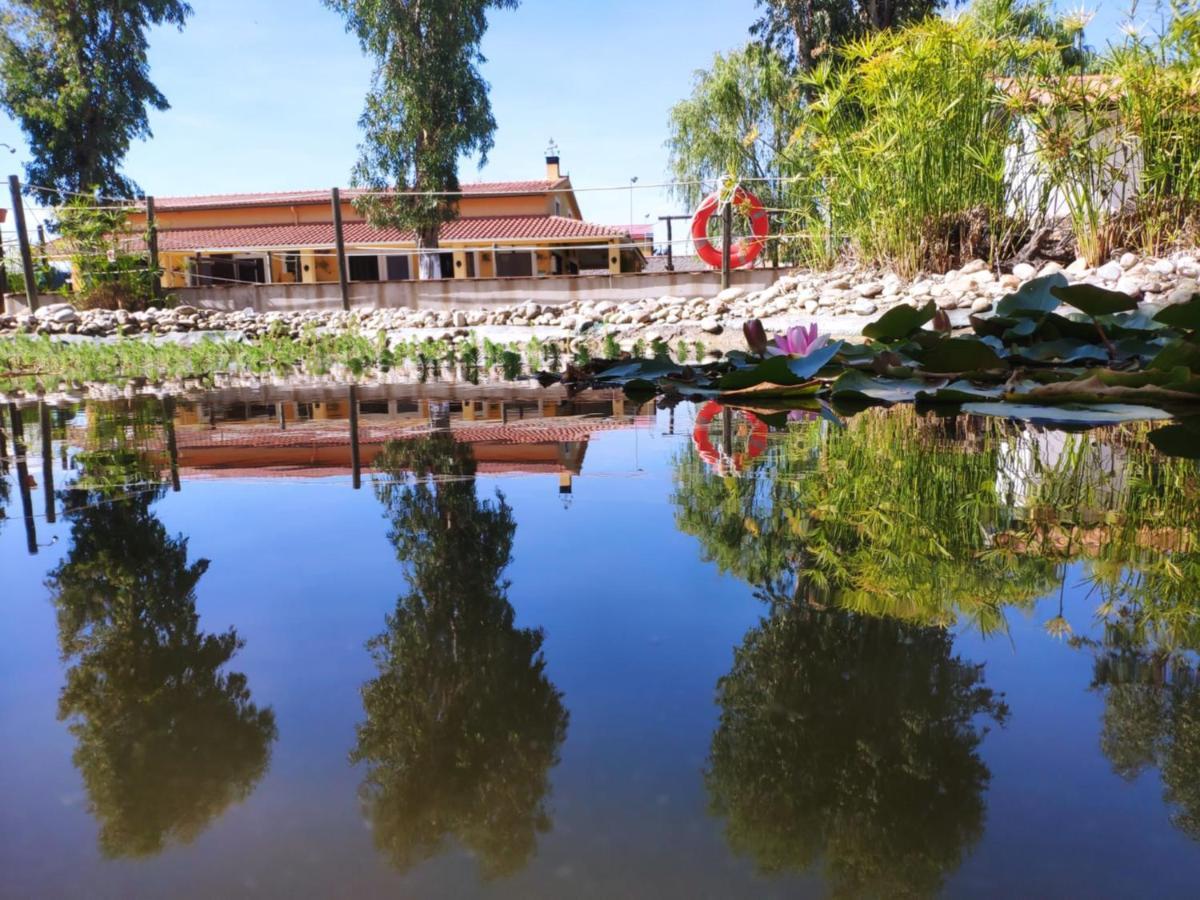 La Posada Hipica Rosalejo  ภายนอก รูปภาพ