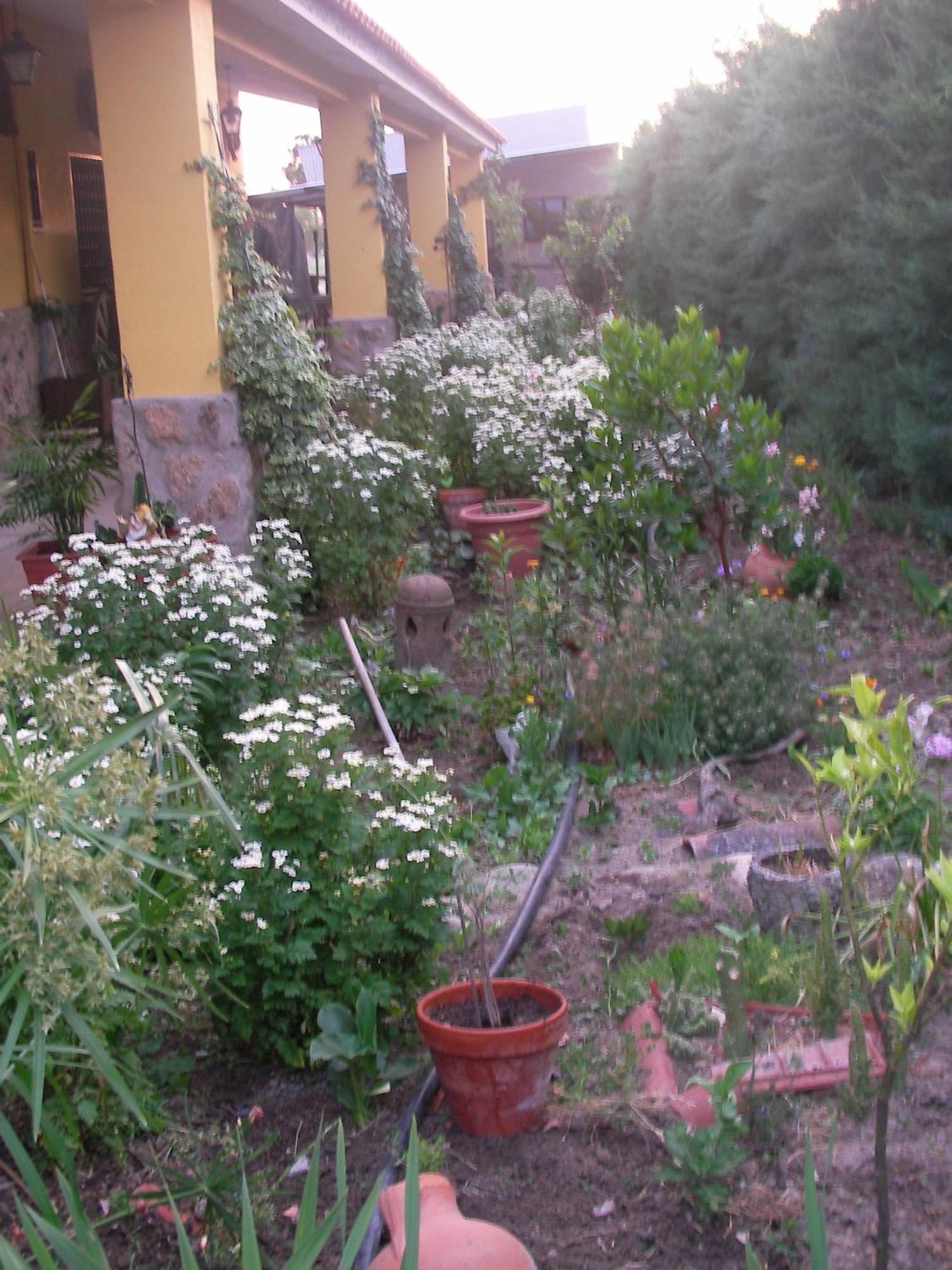 La Posada Hipica Rosalejo  ภายนอก รูปภาพ