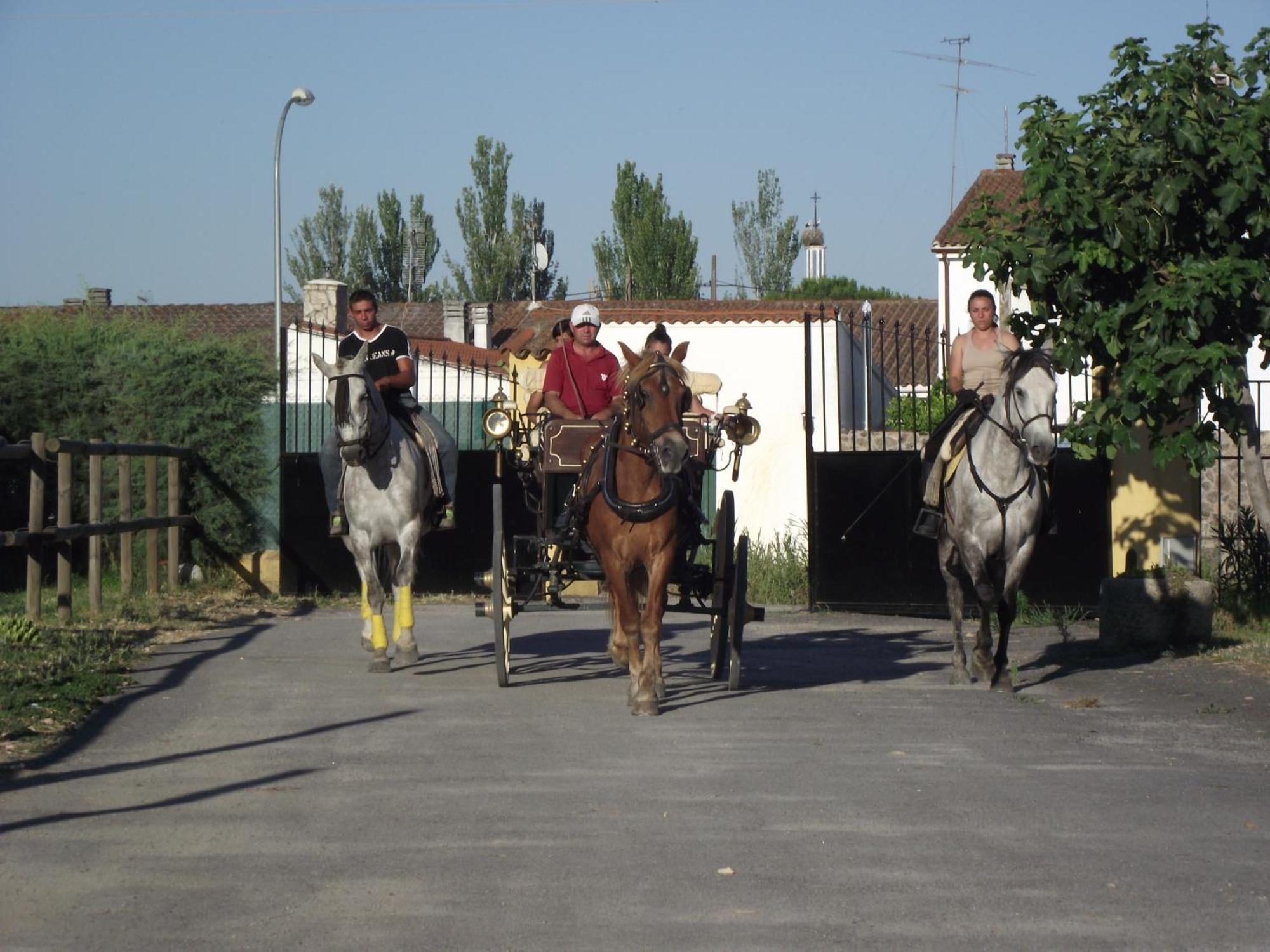 La Posada Hipica Rosalejo  ภายนอก รูปภาพ