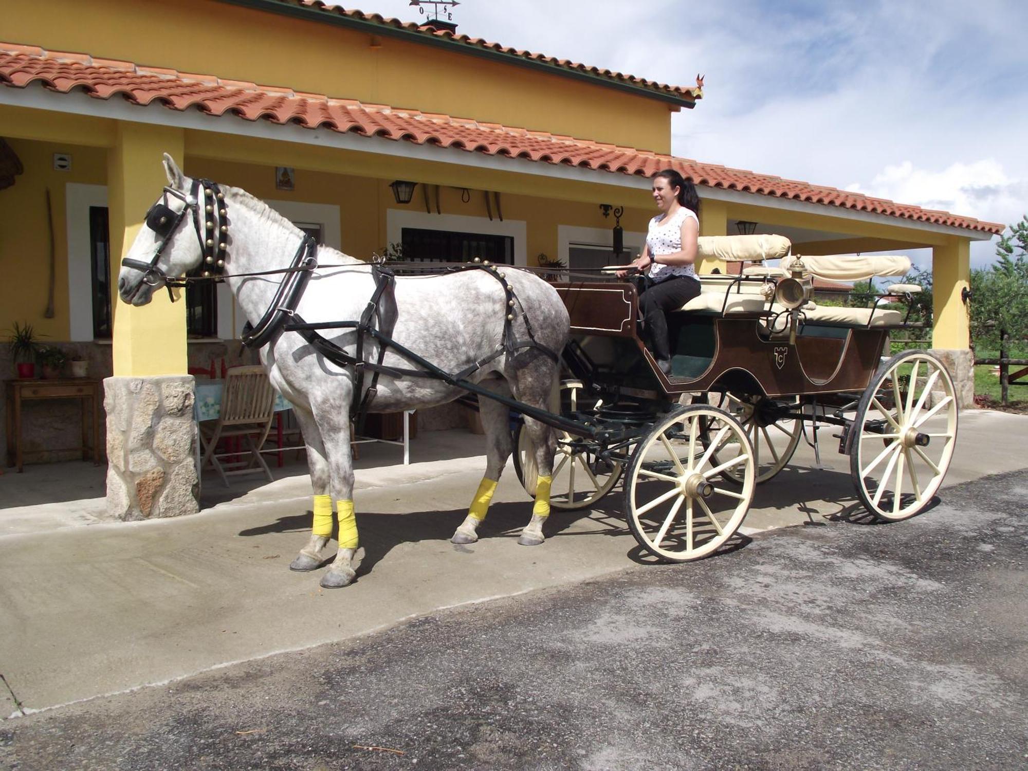 La Posada Hipica Rosalejo  ภายนอก รูปภาพ