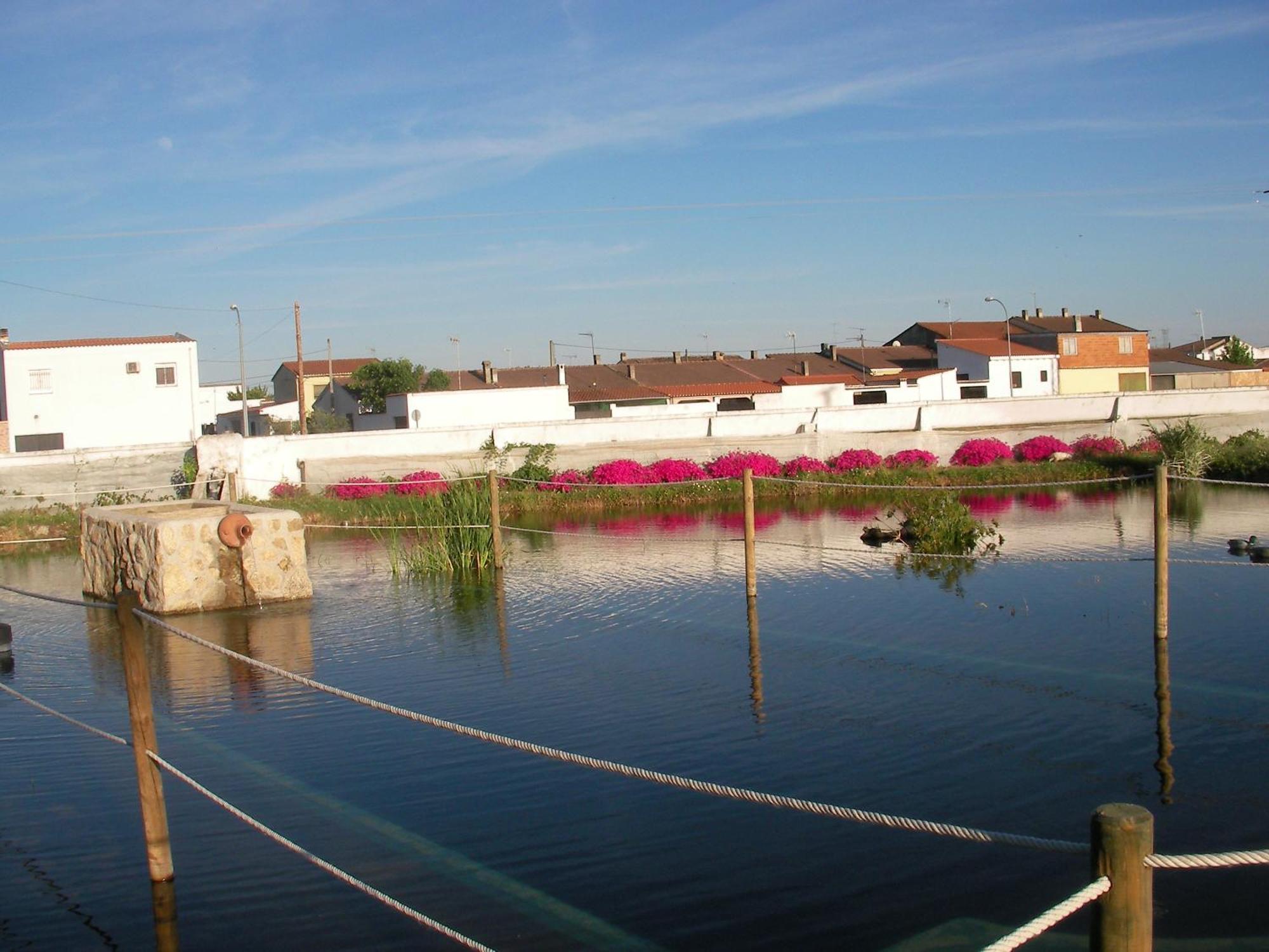 La Posada Hipica Rosalejo  ภายนอก รูปภาพ