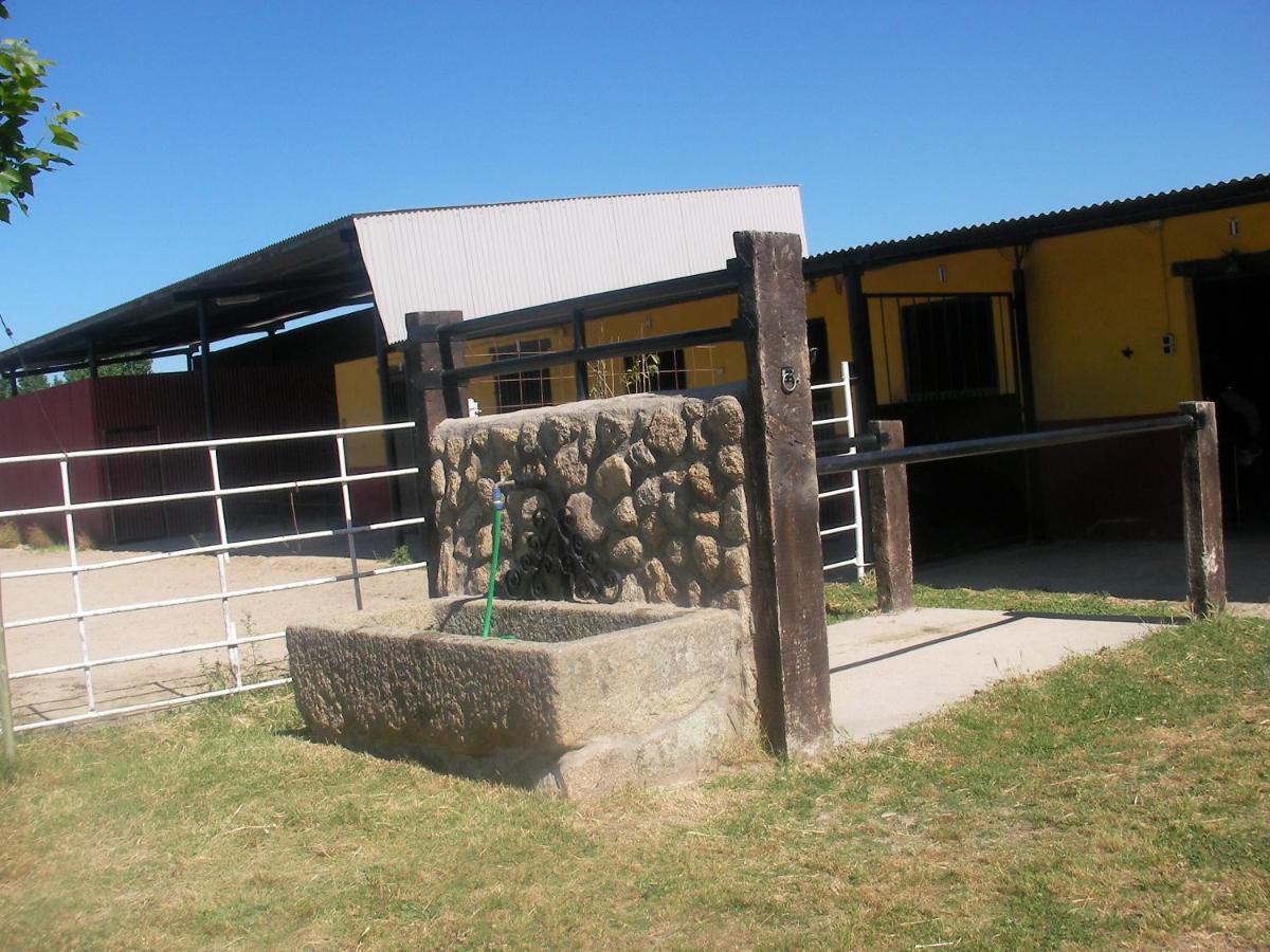 La Posada Hipica Rosalejo  ภายนอก รูปภาพ