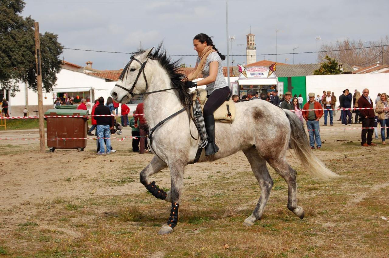 La Posada Hipica Rosalejo  ภายนอก รูปภาพ