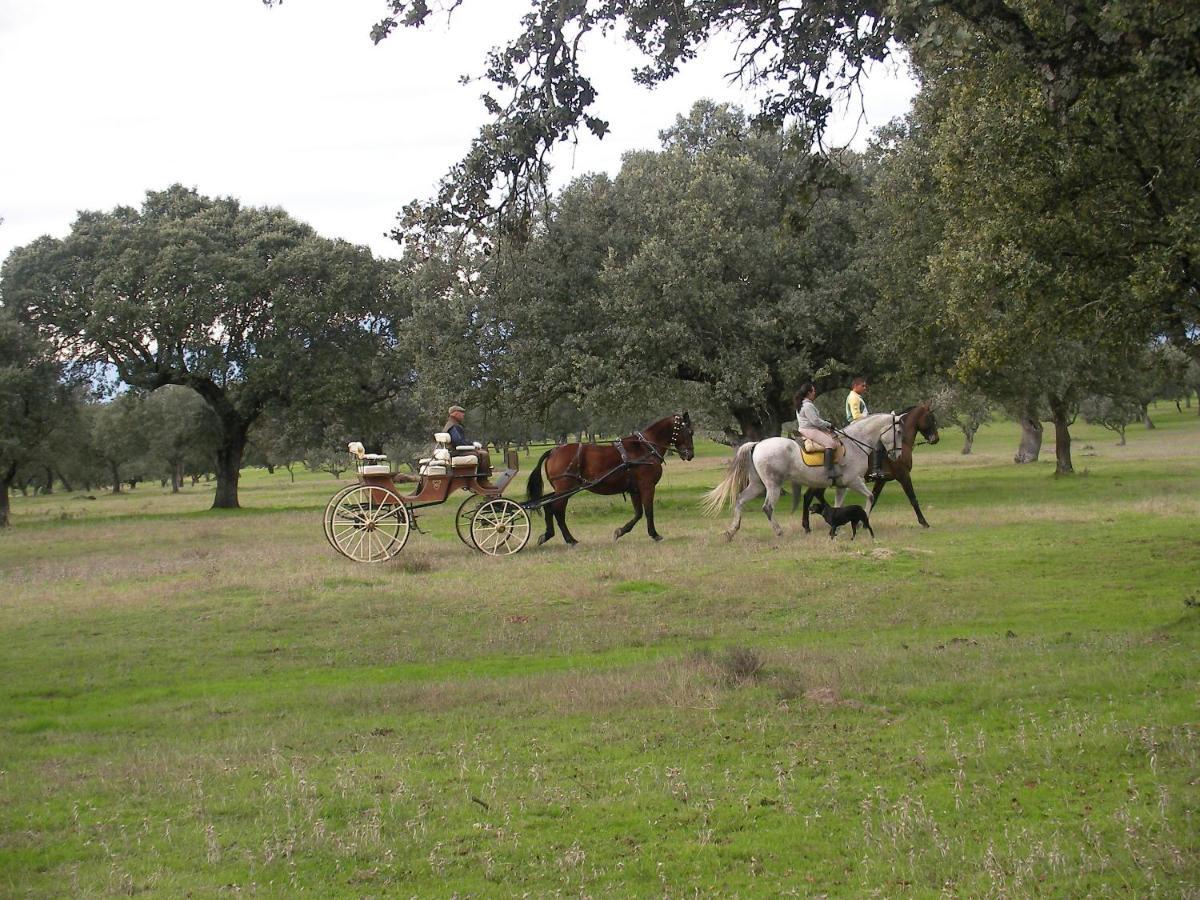 La Posada Hipica Rosalejo  ภายนอก รูปภาพ